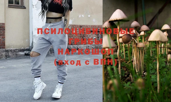 бошки Белокуриха