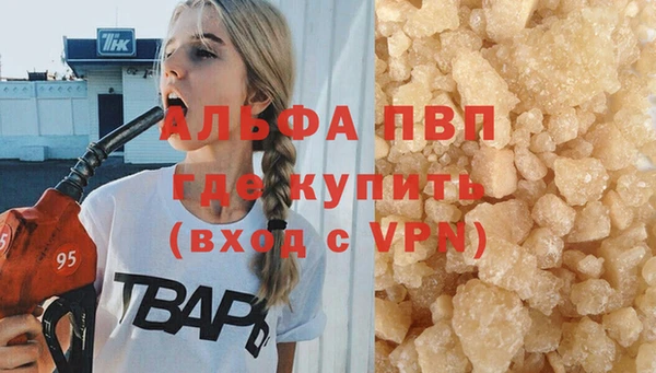 бошки Белокуриха
