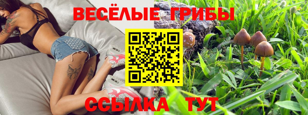 Псилоцибиновые грибы Cubensis Саяногорск